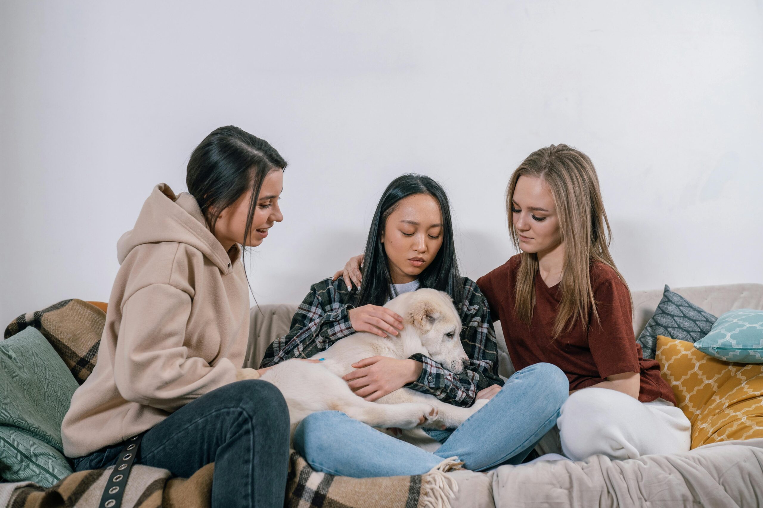 Three women cuddling with a white dog.